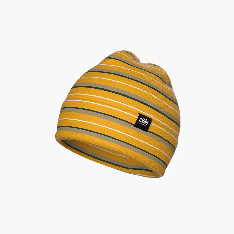 Trend Alert CR3Beanie - School Daze Stripe